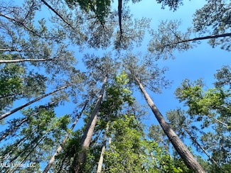 0 Nolan Felder Rd, Magnolia, MS 39652