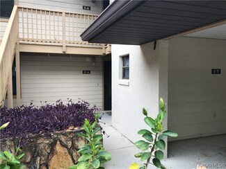 300 E Glassboro Ct Unit 2A, Hernando, FL 34442