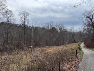 7099 Furnace Rd, Stanton, KY 40380