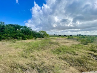 920 County Road 201, Falls City, TX 78113