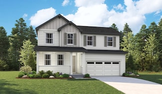 Elderberry, Windsor, CO 80528