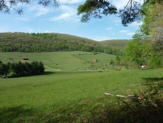 TBD Hog Mountain Rd SW, Meadows Dan, VA 24120