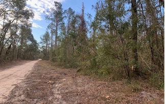 TBD 237th Dr, Live Oak, FL 32060
