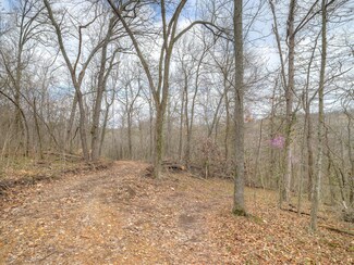 Tract 3 8 90 Acres Wilderness Way, Anderson, MO 64831