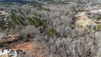 21+/- AC Springfield Ave, La Fayette, AL 36862
