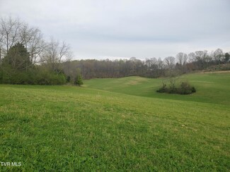 330 Cannon Rd, Limestone, TN 37681