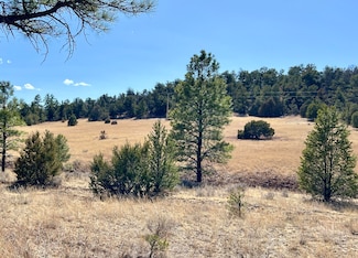 Lot 9 Juniper Hill Rd, Ramah, NM 87321