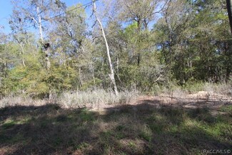 3505 E Lou Ln, Inverness Highlands North, FL 34453