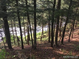192 Little Beaver Lake Rd, Forestport, NY 13338