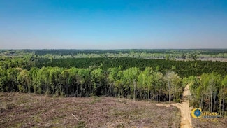 Ellis Rd, Jefferson, SC 29718