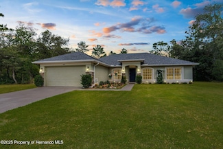 10197 Meadow Wren Ave, Weeki Wachee, FL 34613