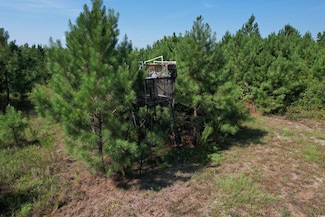 55.43 Acres-TBD Jeffords Mill Rd, Darlington, SC 29540