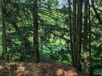 0 Indian Unit S1618400, Theresa, NY 13691