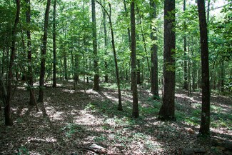 1515C Hephzibah - McBean Rd, Hephzibah, GA 30815