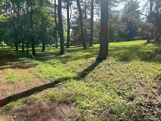 Lot 12 Denbo Cir, Harvest, AL 35749