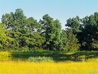 Tract 5 Hwy Ff, Mexico, MO 65265