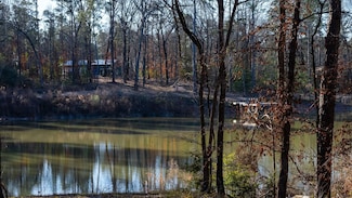 0 Tbd Owl Rd, Diana, TX 75640