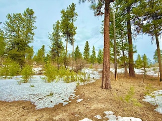 TBD Finn Church Ln, McCall, ID 83638