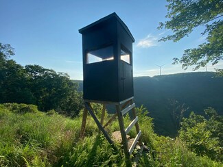 0 Fire Tower Rd Unit 11493625, Tunkhannock, PA 18657