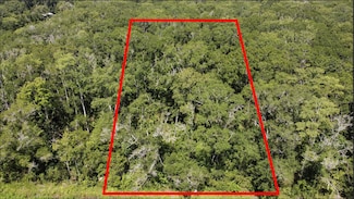 10555 Turpin Ave, Hastings, FL 32145