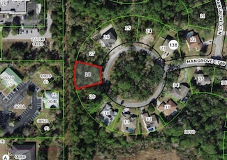 18 Mangrove Ct W, Homosassa, FL 34446