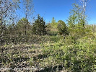 Lot C Stoney Ln, Hamlin Township, MI 48827