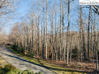 52 Raven Ridge Rd, Banner Elk, NC 28604