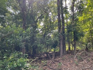 LOT 11 Busch Hill Dr, Wetumpka, AL 36093