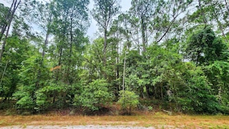 129 Hazel Ave, Georgetown Cove, FL 32139