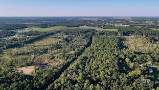 15400 Barlow Rd, Loxley, AL 36551