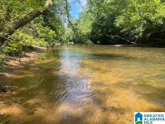 1171 Pate Rd Unit 18 Ac, Cragford, AL 36255