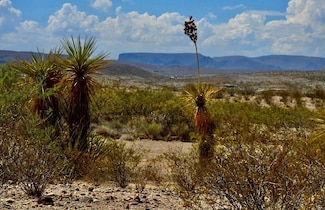 3615 Marathon Rd, Terlingua, TX 79852