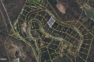 lot 62 Old Smoky High Top Rd, Cosby, TN 37722