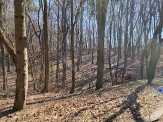 VL Shorewood Dr, Covert, MI 49043