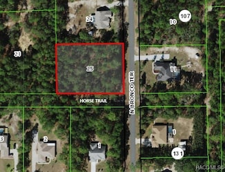 5516 N Bronco Terrace, Pine Ridge, FL 34465