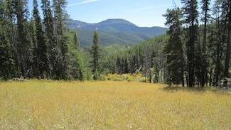 0 Pioneer Ln, Neihart, MT 59465