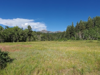 0 County Road 382 Unit 8350082, Chromo, CO 81128