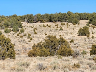 0 Ponderosa Ranches Rd, Pie Town, NM 87827