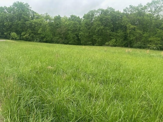 0 Michaels Ln Unit 46, Brooksville, KY 41004