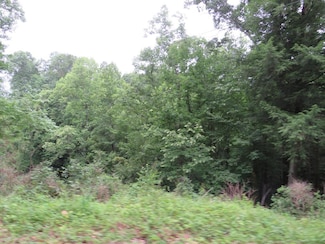 00 Laurel Flats, Flat Gap, KY 41219