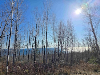 6669 Little Marais Rd, Little Marais, MN 55614