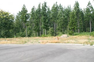 110 Hopkins Place, Carbonado, WA 98323