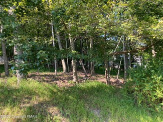 4139 White Birch Dr, East Stroudsburg, PA 18302