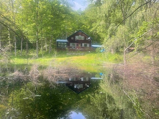 115 Austin Hill Rd, Rochester, VT 05767