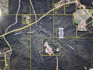 9408 Lock 17 Rd, Adger, AL 35006