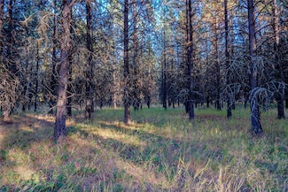 TBD Break Rd, Pioneer Junction, MT 59923