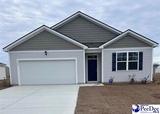 4925 Lullwater Dr, Darlington, SC 29532