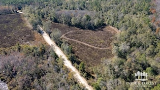 XX2 Seay Rd, Cottondale, FL 32431