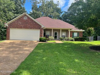 708 Forest Woods Dr, Byram, MS 39272