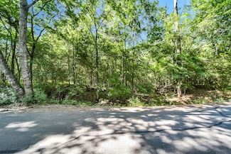 0 Frontier Rd, Stagecoach, TX 77355